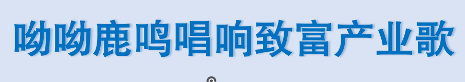 呦呦鹿鸣 唱响产业致富歌