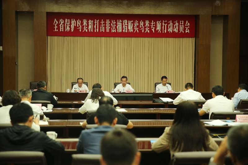 全省保护鸟类活动和打击非法捕猎贩卖鸟类专项行动动员部署视频会议召开